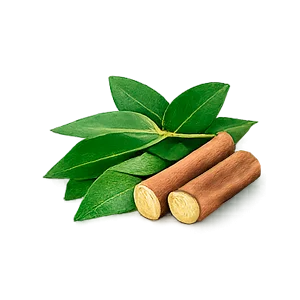 Remonex — Eukalipto eterinis aliejus